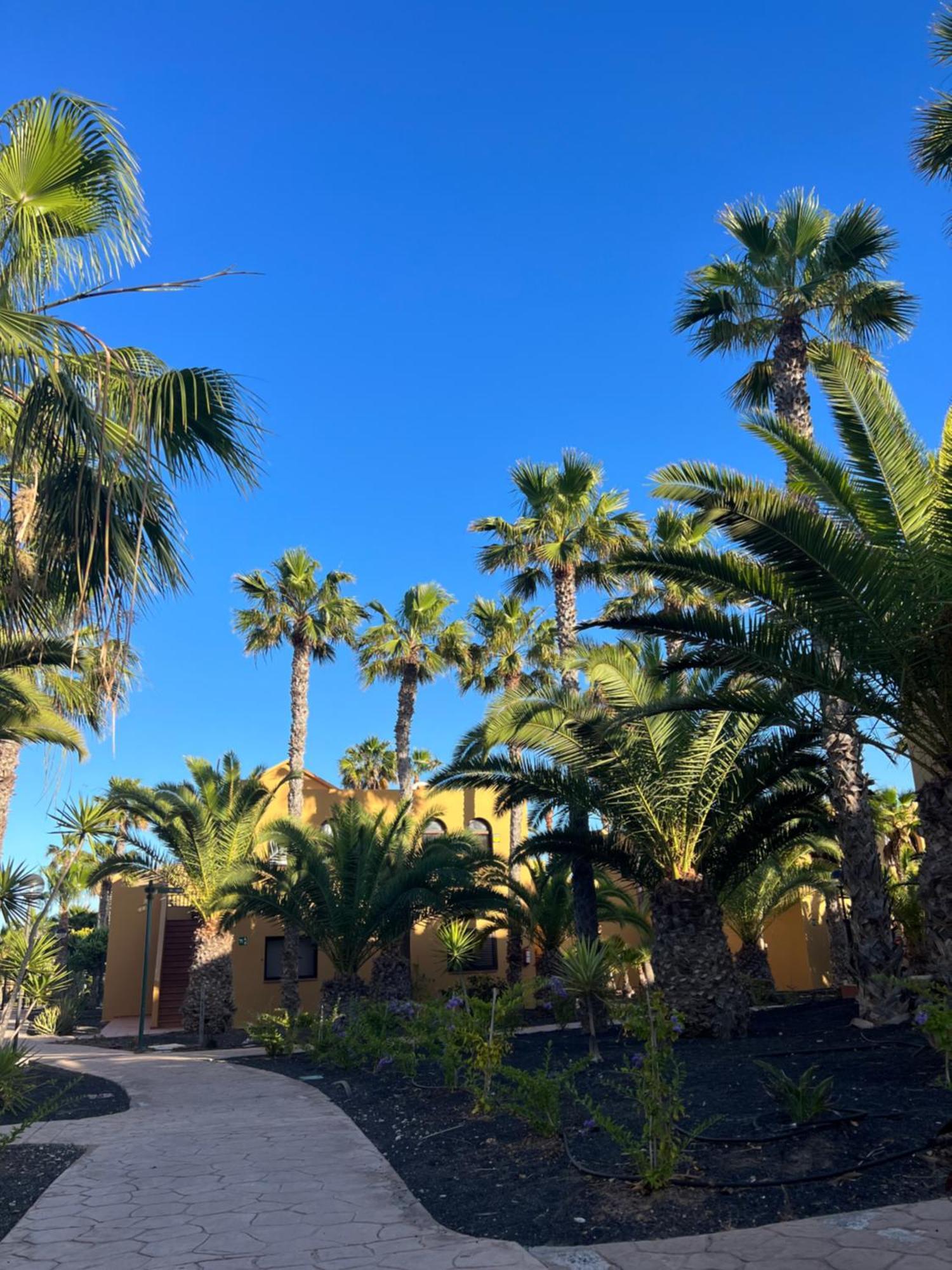 Casa De Leon Lejlighed Corralejo Eksteriør billede