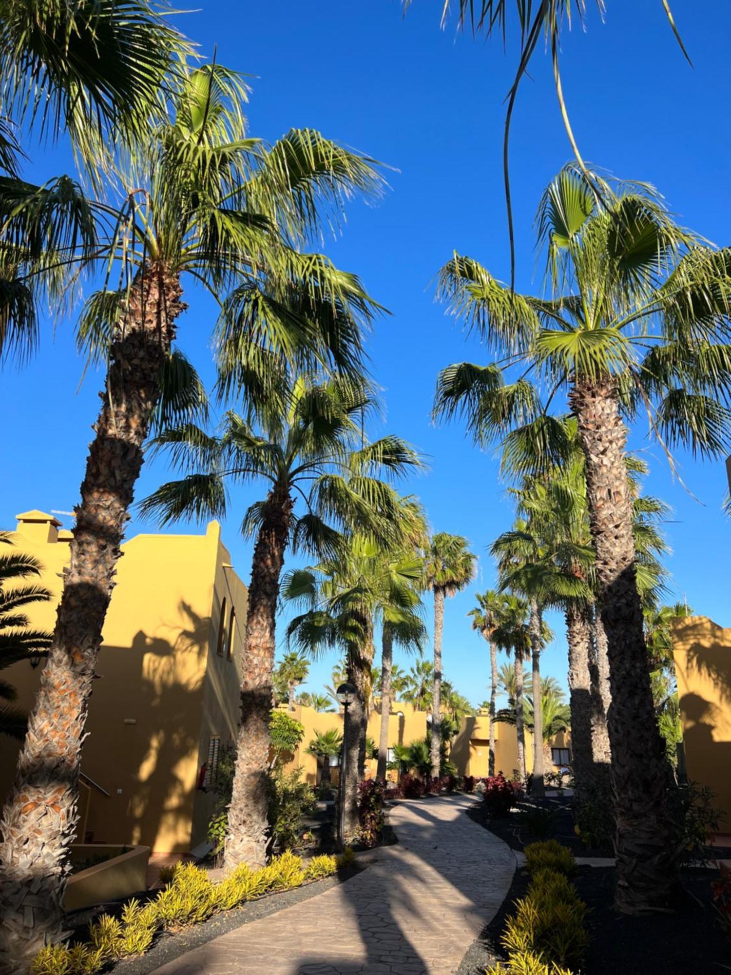 Casa De Leon Lejlighed Corralejo Eksteriør billede